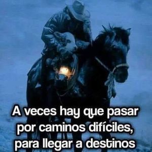 Meet your Posher, Frank